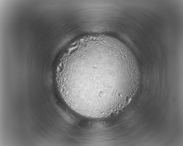 X0000063450683200602031808