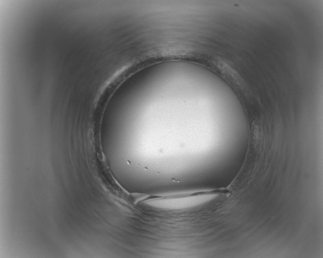 X0000063450684200602031808