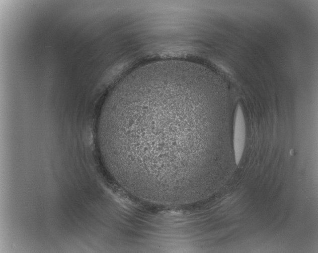 X0000063450687200602031808