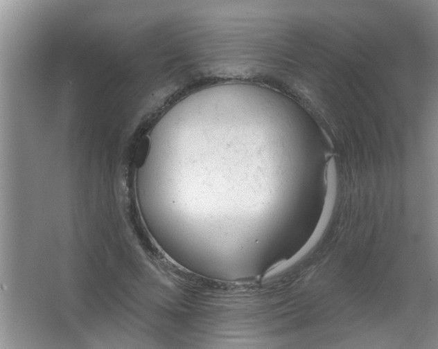 X0000063450688200602031808