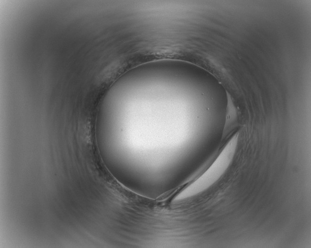 X0000063450689200602031808