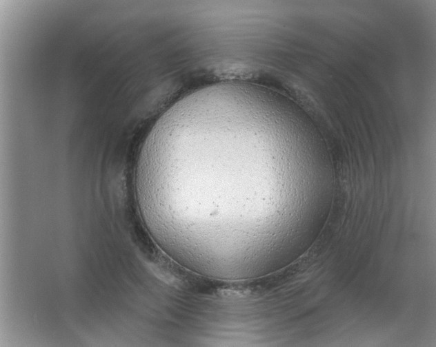 X0000063450690200602031808