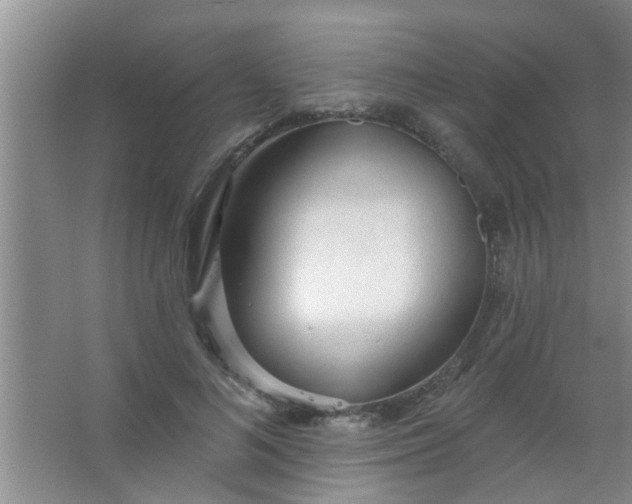 X0000063450692200602031808