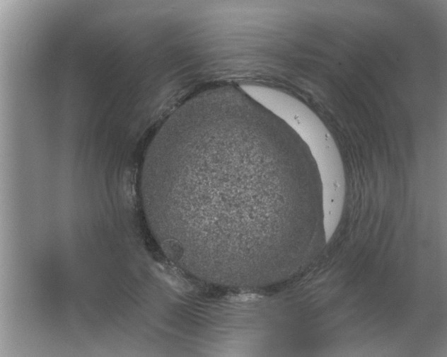 X0000063450695200602031808