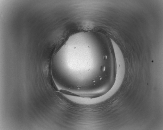 X0000063450697200602031808