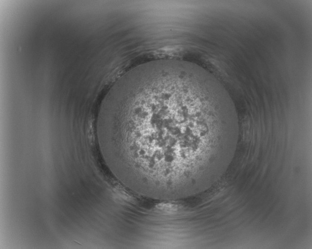 X0000063450699200602031808