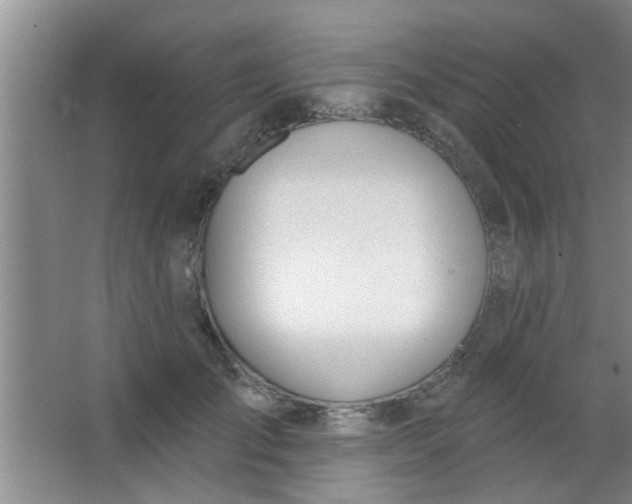 X0000063450701200602031808