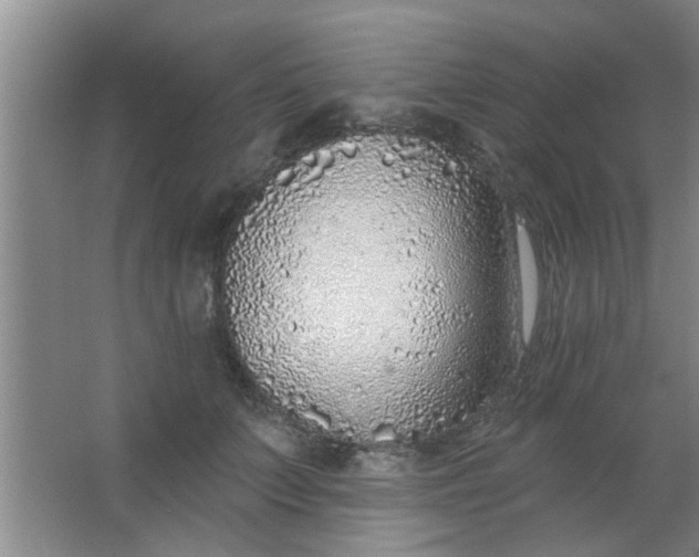 X0000063450703200602031808