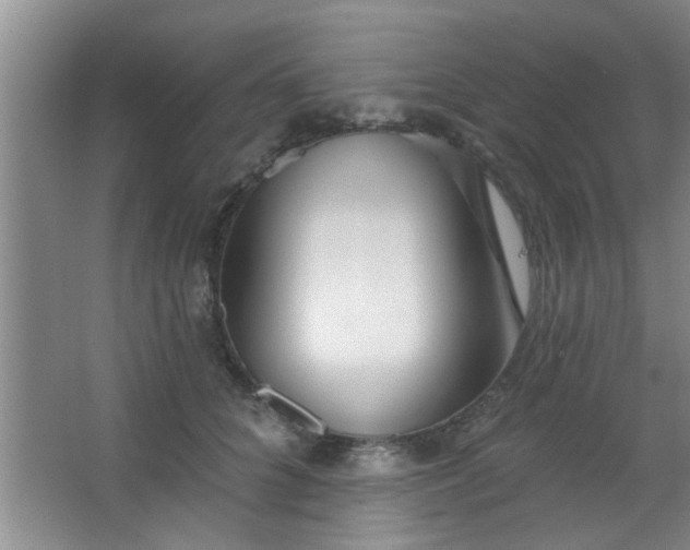 X0000063450704200602031808