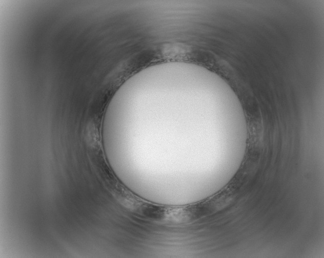 X0000063450705200602031808