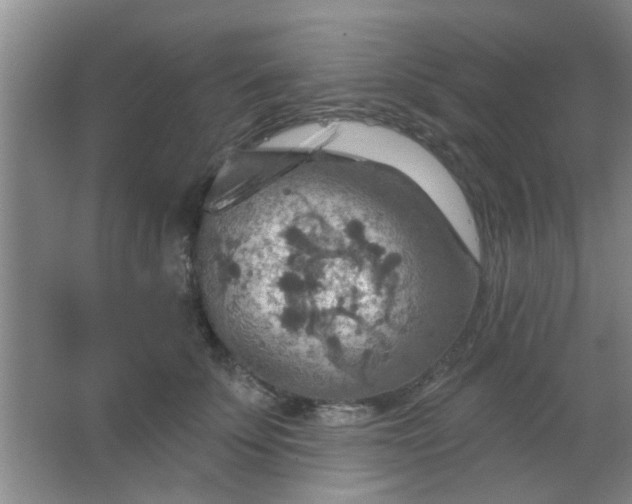 X0000063450707200602031808