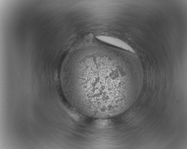 X0000063450711200602031808