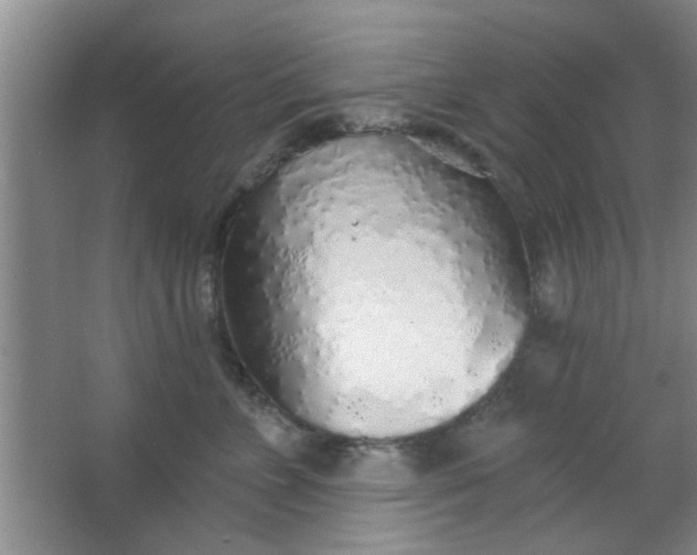 X0000063450715200602031808