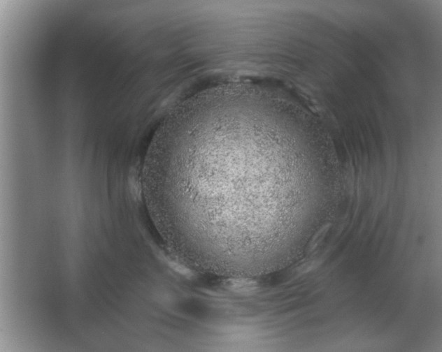 X0000063450719200602031808