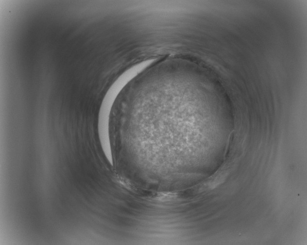 X0000063450720200602031808