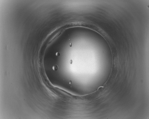 X0000063450722200602031807