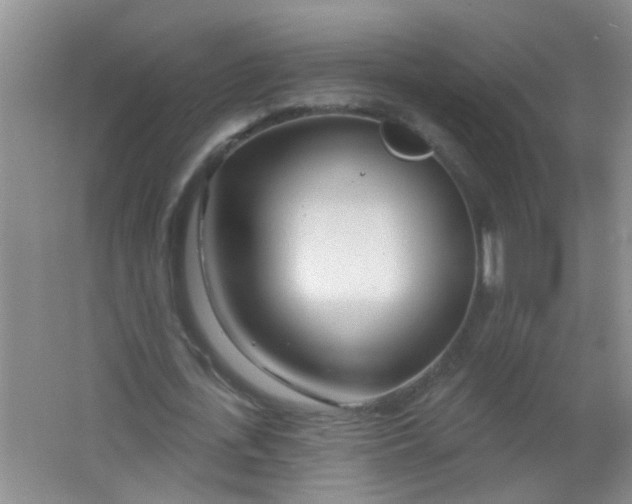 X0000063450723200602031807