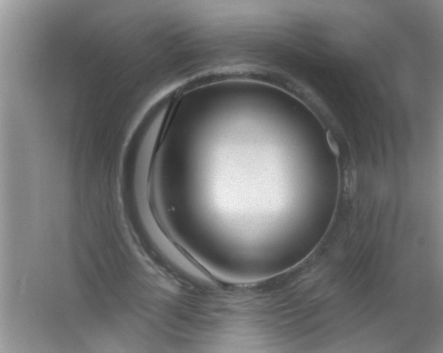 X0000063450724200602031807