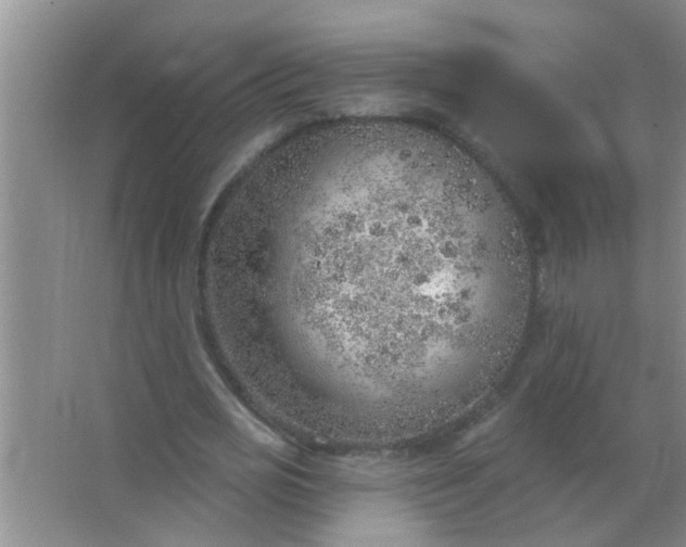 X0000063450725200602031807