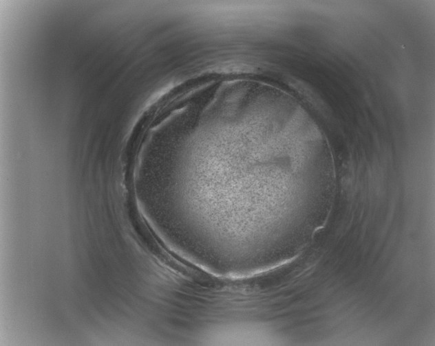 X0000063450727200602031807