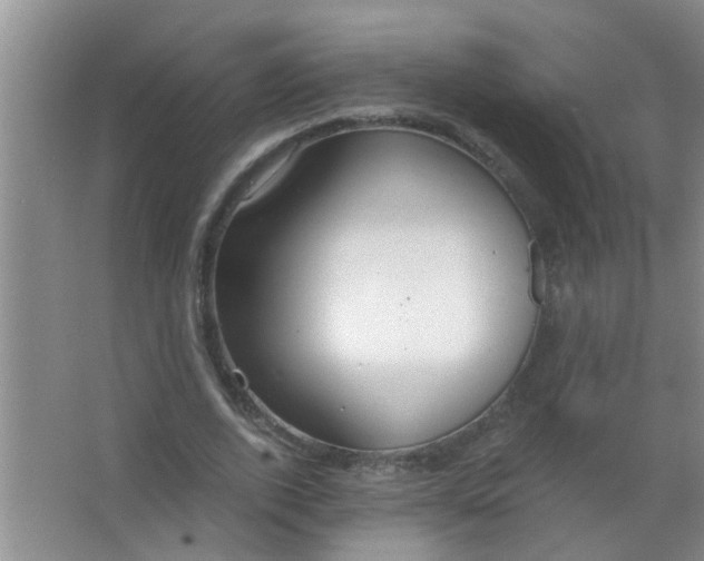 X0000063450728200602031807