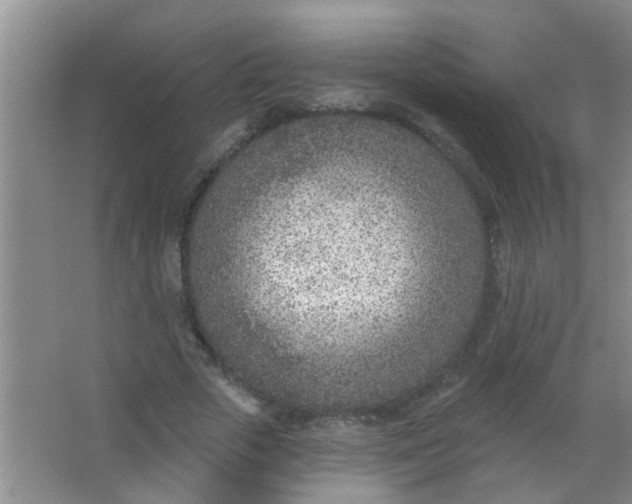 X0000063450729200602031807