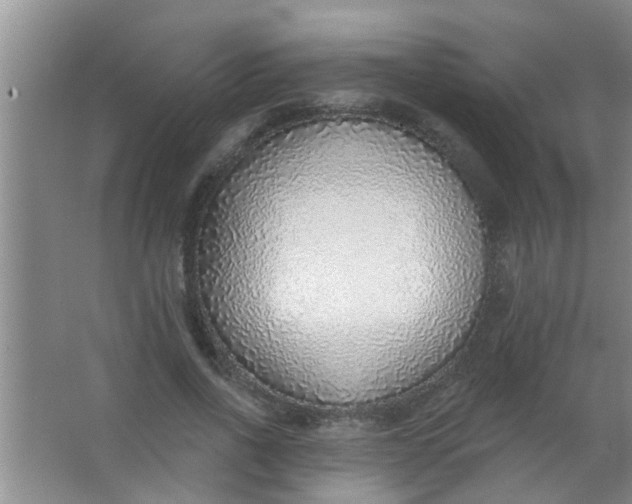 X0000063450734200602031807