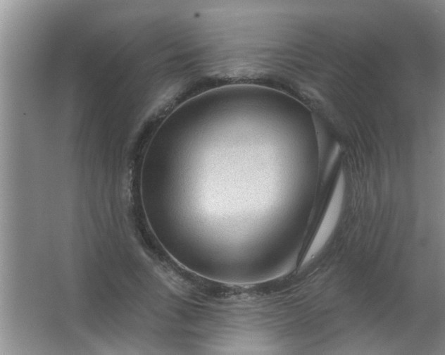 X0000063450735200602031807