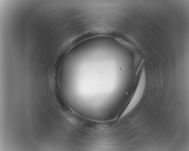 X0000063450736200602031807