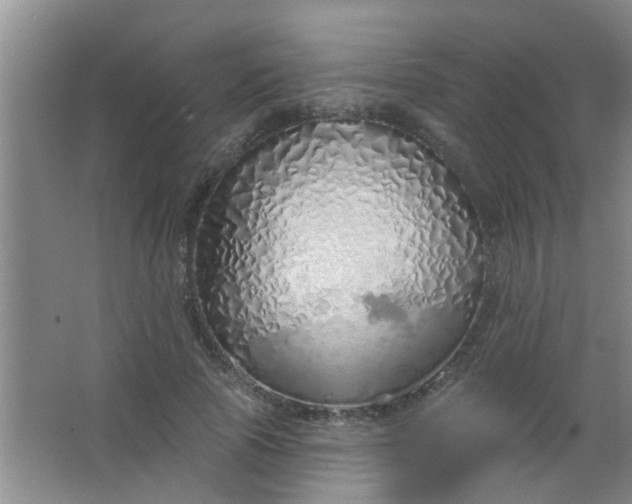 X0000063450737200602031807