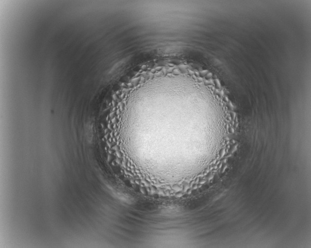 X0000063450741200602031807