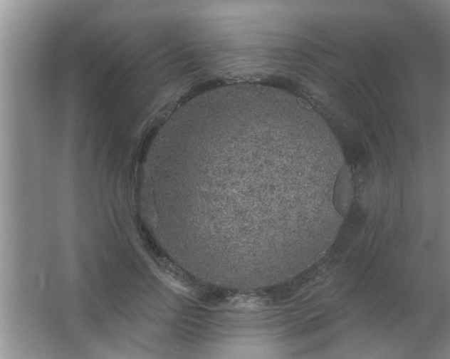 X0000063450742200602031807