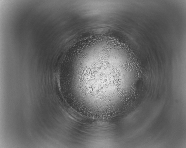 X0000063450745200602031807