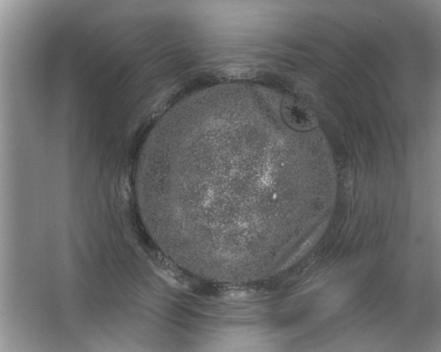 X0000063450746200602031807