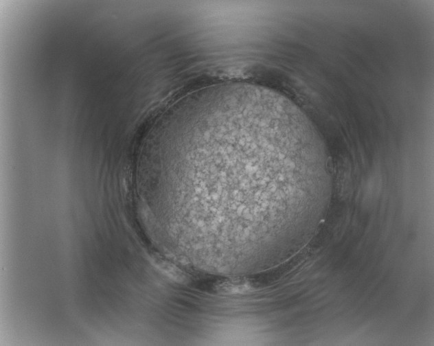 X0000063450747200602031807