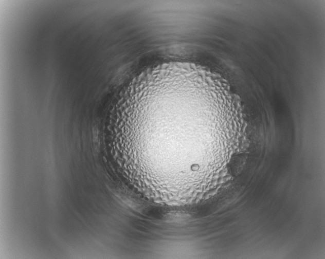 X0000063450749200602031807