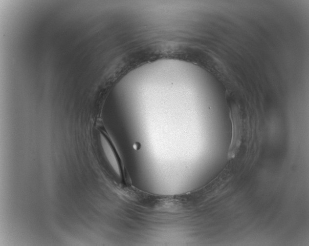 X0000063450750200602031807