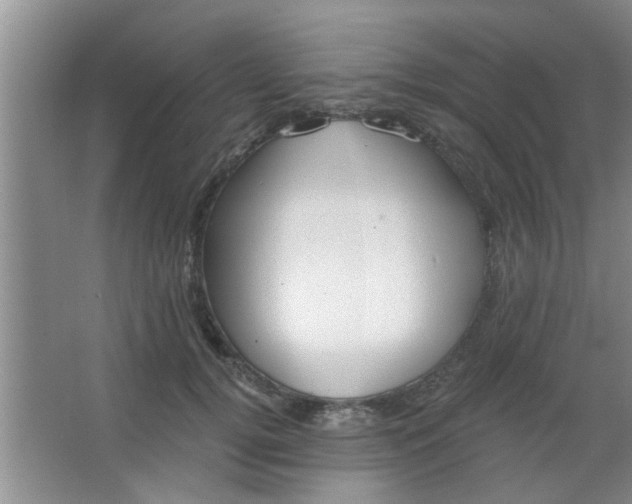 X0000063450752200602031807