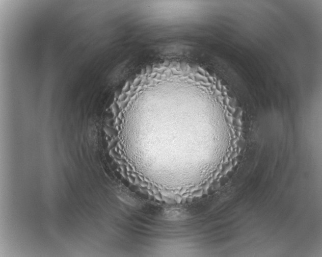 X0000063450753200602031807