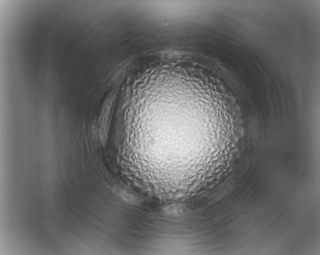 X0000063450761200602031808