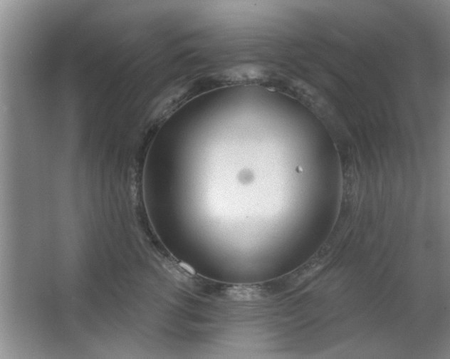 X0000063450762200602031808