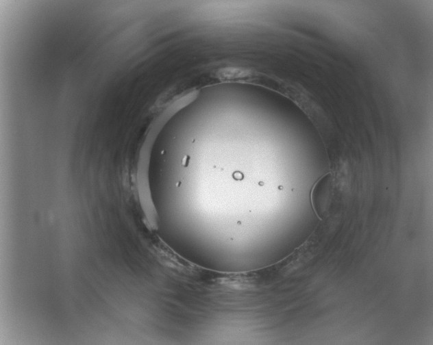 X0000063450763200602031808