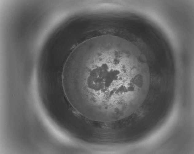 X0000063450765200602031808