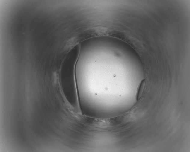 X0000063450768200602031808