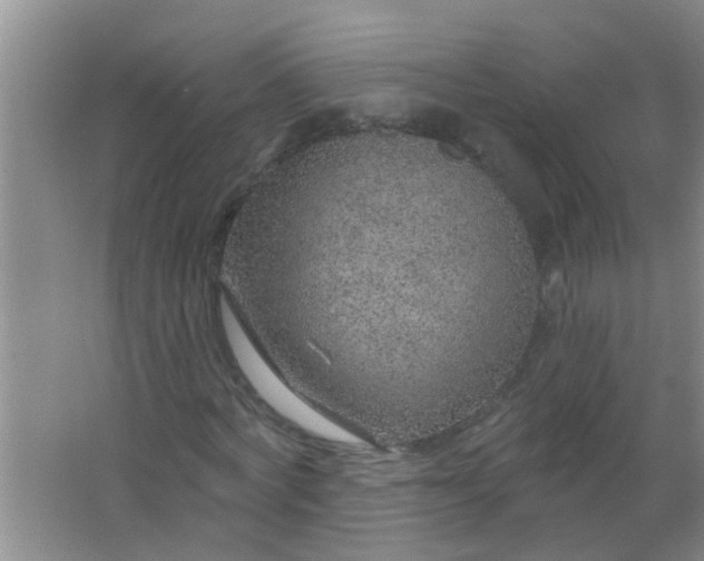 X0000063450772200602031807