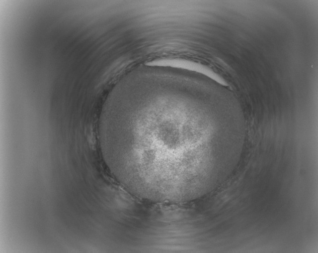 X0000063450774200602031807