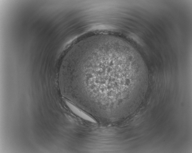 X0000063450775200602031807