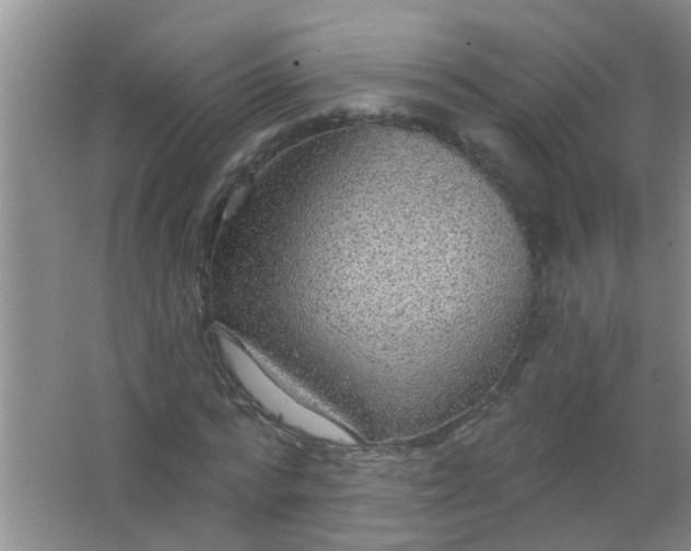 X0000063450776200602031807