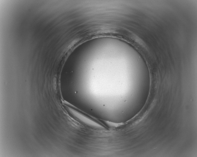 X0000063450777200602031807