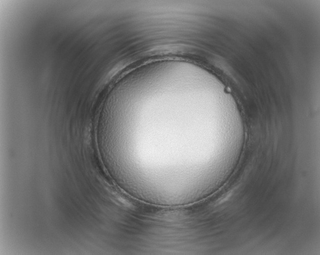 X0000063450778200602031807